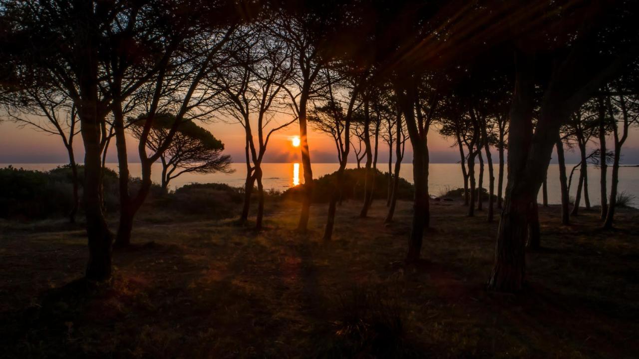 Villette Acquamarina Budoni Exteriér fotografie